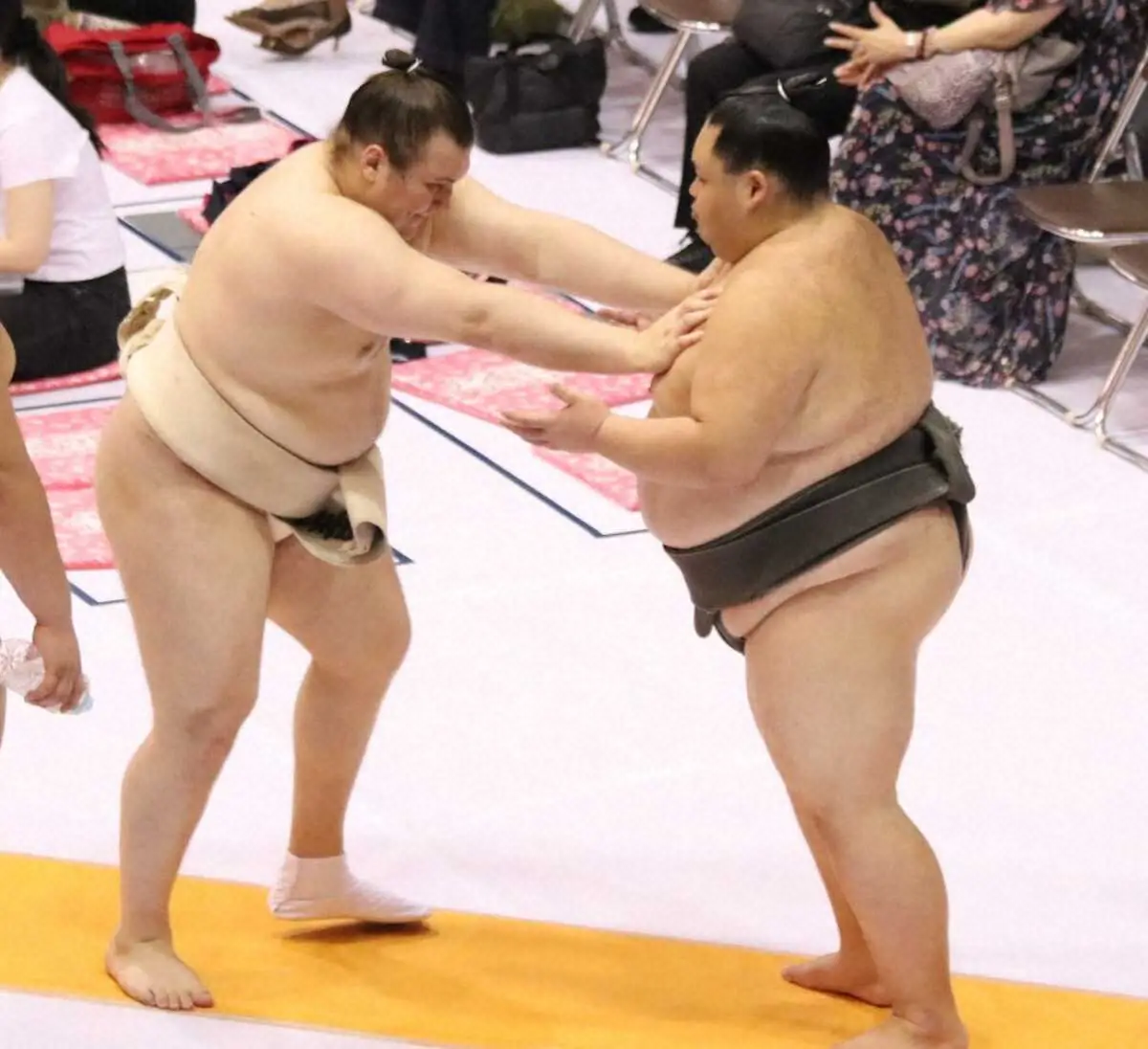【大相撲夏巡業仙台場所】安青錦、慎重に調整「体と向き合いながら焦らないように」
