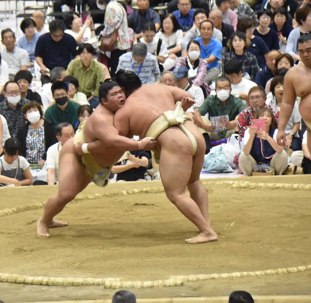 【大相扑夏季巡演】伯乃富士在23岁生日当天与横纲和大关进行23次激烈训练「非常感激」