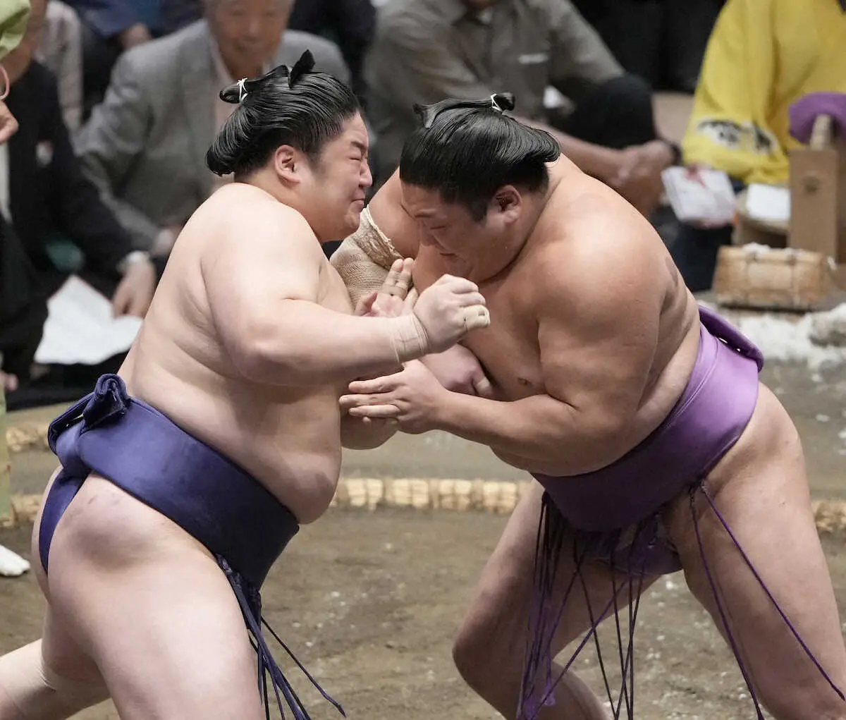 【玉ノ井親方 視点】藤青雲 右四つ軸にうまさ光った相撲内容