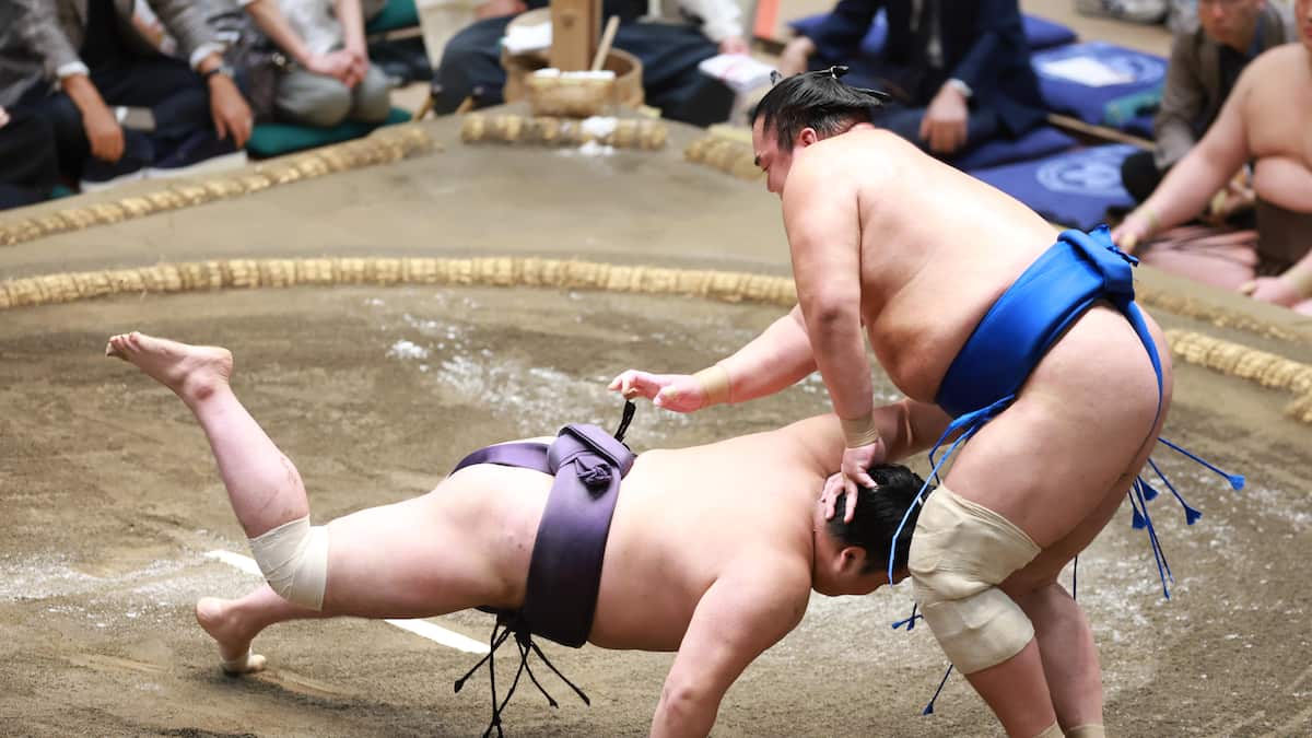 花田虎上氏「体は横綱だよ」／秋場所