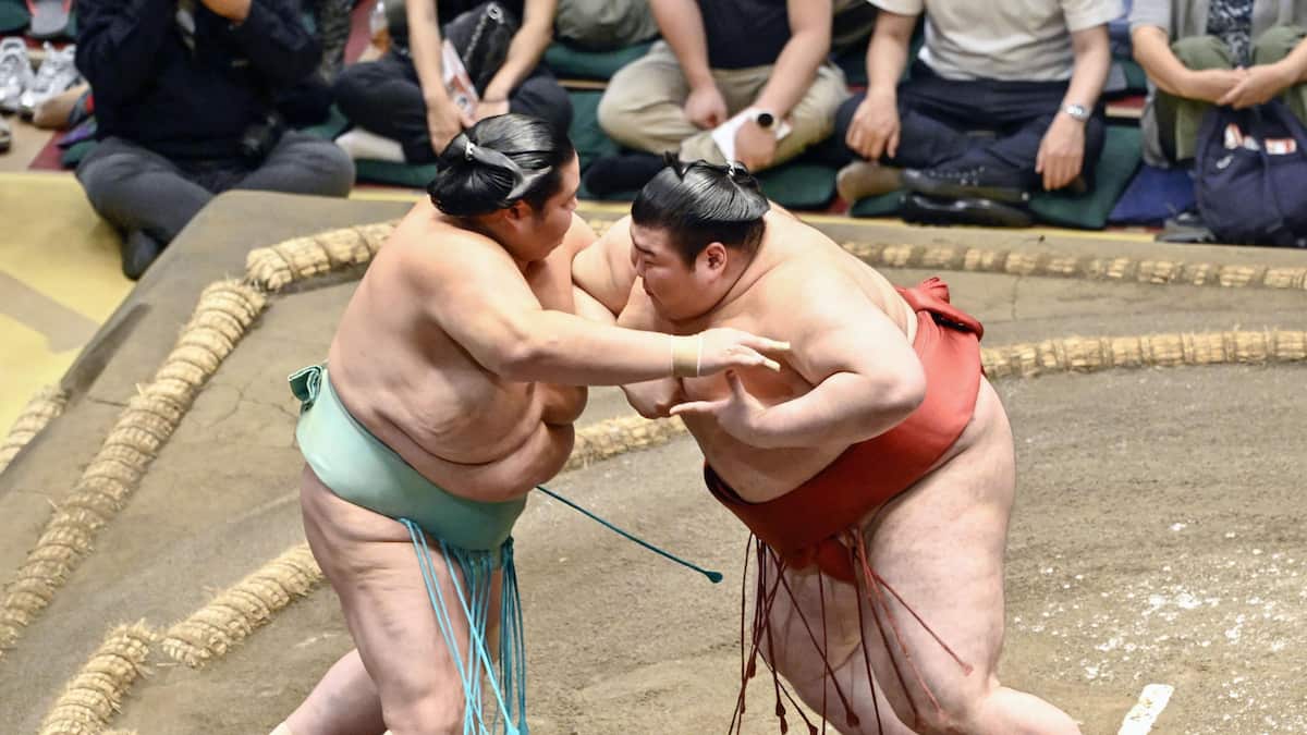 藤井康生氏「どちらが大関かなというふうな堂々とした相撲」／秋場所