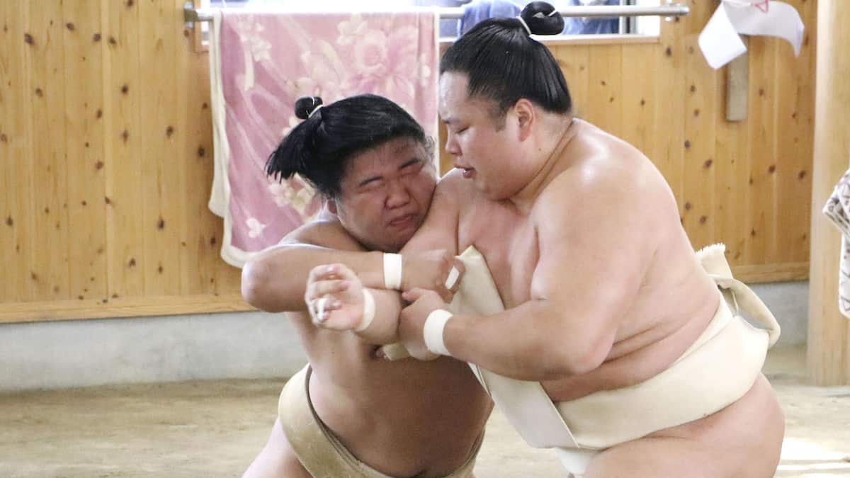 関脇・藤ノ川、大関琴桜らと14番 佐渡ケ嶽部屋へ出稽古「一番一番を激しくやる」