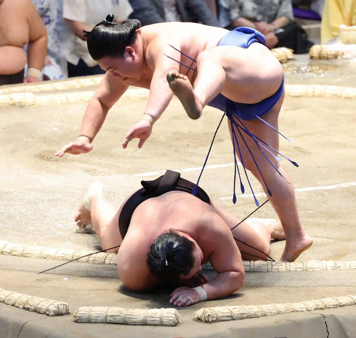 【玉之井亲方视角】藤之川在土俵边缘也具备反击的巧妙