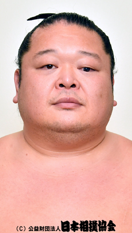Dairaido Taro