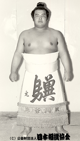 Daiju Hisateru