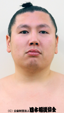 Higohikari