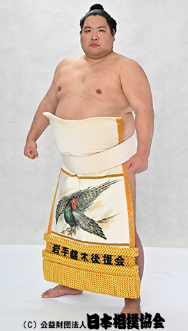 Nishikigi