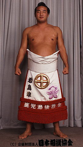 Wakashimazu Mutsuo