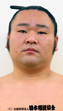 Aoi Seisho