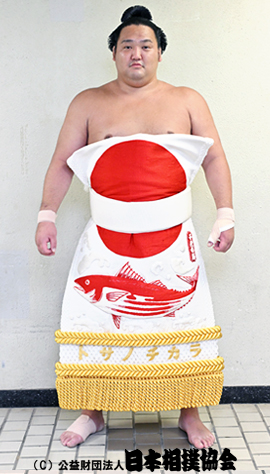 Chiyonoumi Meitaro