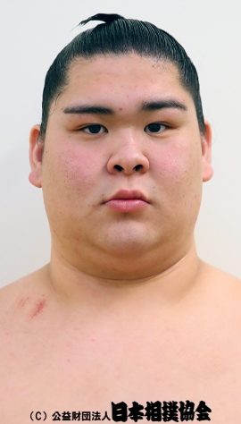Kotodaishin Koki