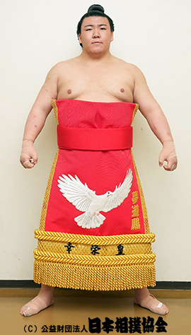Mudoho Kosei