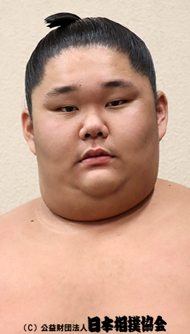 Kyokutaiga
