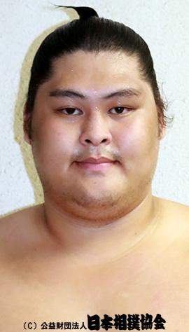 Wakamiyabi Ryuki