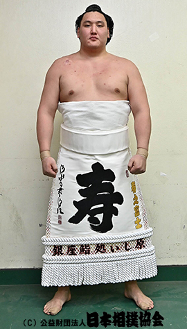 Toshinofuji