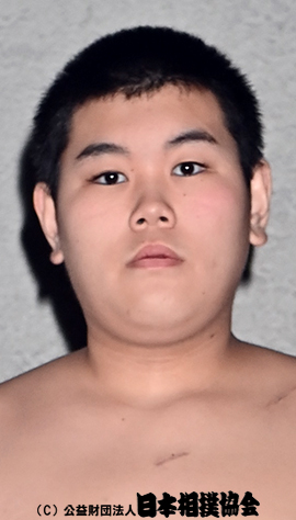 Hashimoto