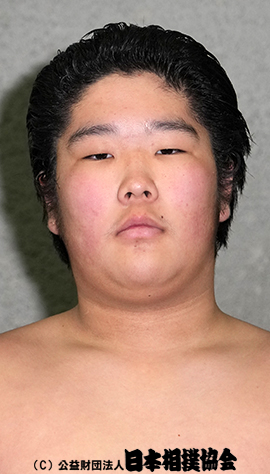 Kotoyoshino
